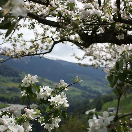 Stolznhof דירה *
