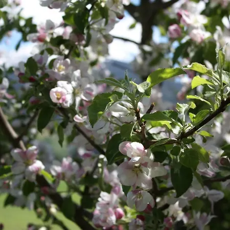 Stolznhof Lägenhet Schönberg im Stubaital