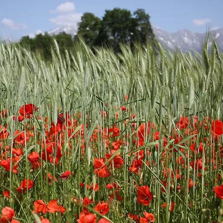 Stolznhof * Schönberg im Stubaital